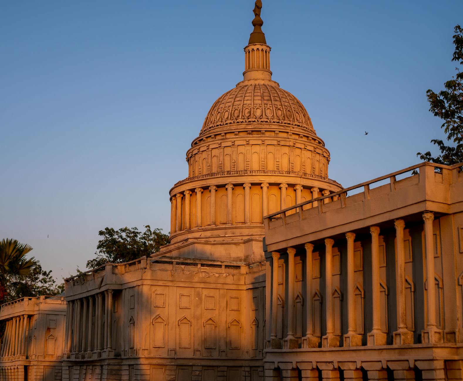 Government and Political Reactions