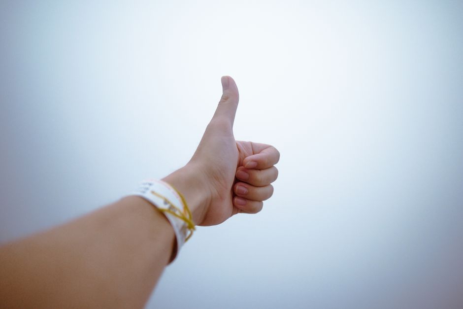 empathy for the optimizers - Empathy for the optimizers