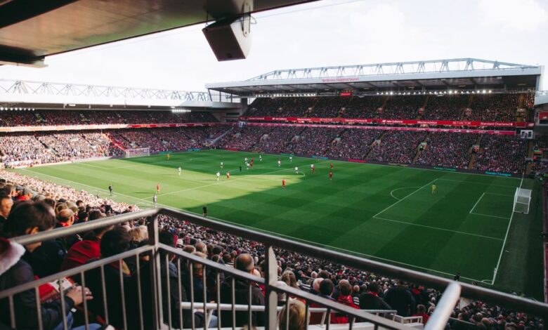 England Euro 2024 loss - England football Euro 2024 stadium