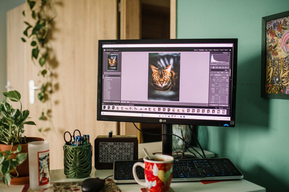 LG monitor McAfee - LG’s monitors come with an unwanted addition for Windows: McAfee pop