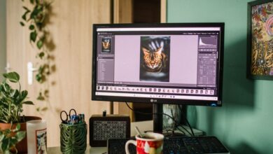 LG monitor McAfee - LG monitor Windows setup