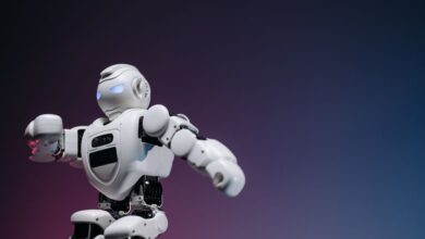 Chip Roy artificial intelligence warning - congressional hearing artificial intelligence